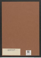 Diatomeae indet. Zeichnungen Sammlung Grunow Mappe 03469 (Herbarium_W_Grunow_drawings_Folder_03469)